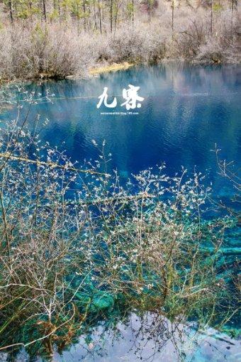 辐射4